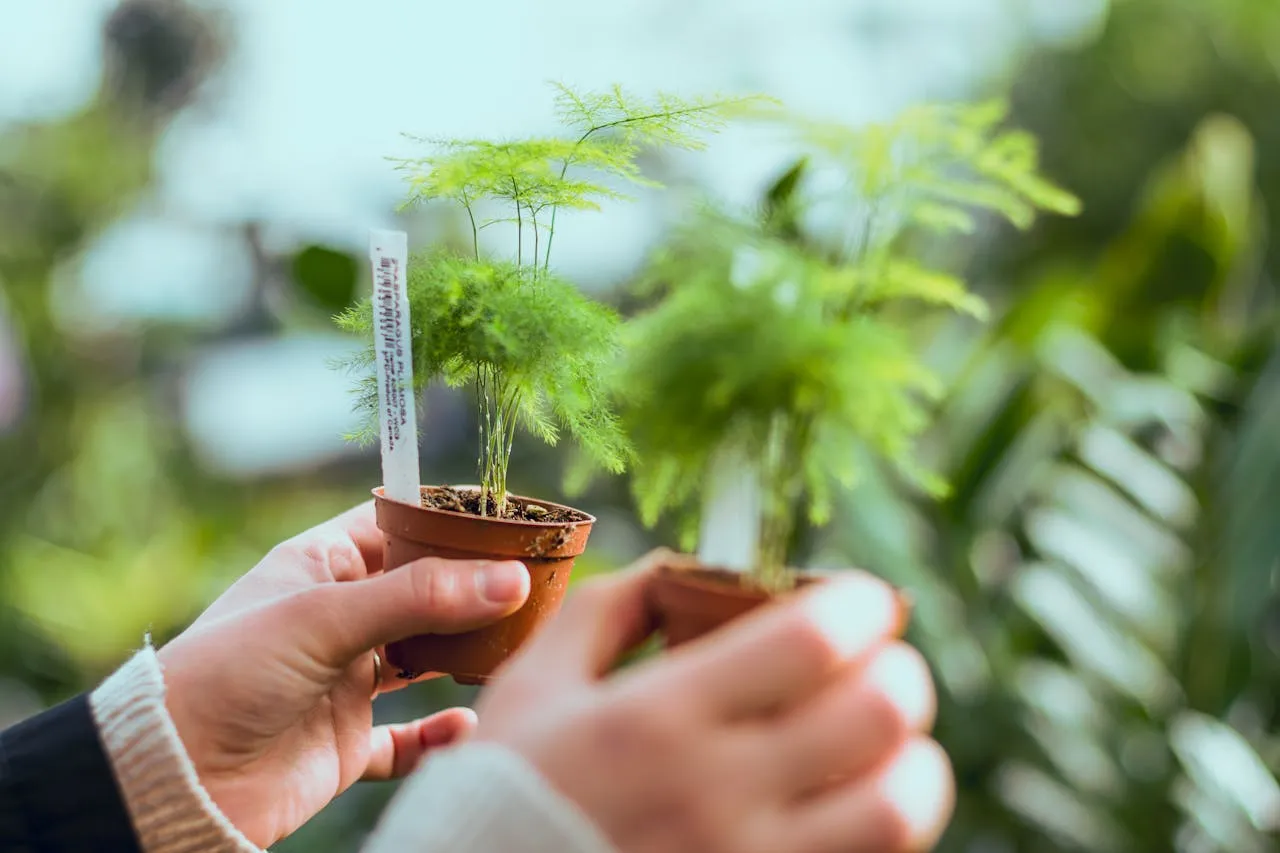Native plants thriving in their hardiness zone