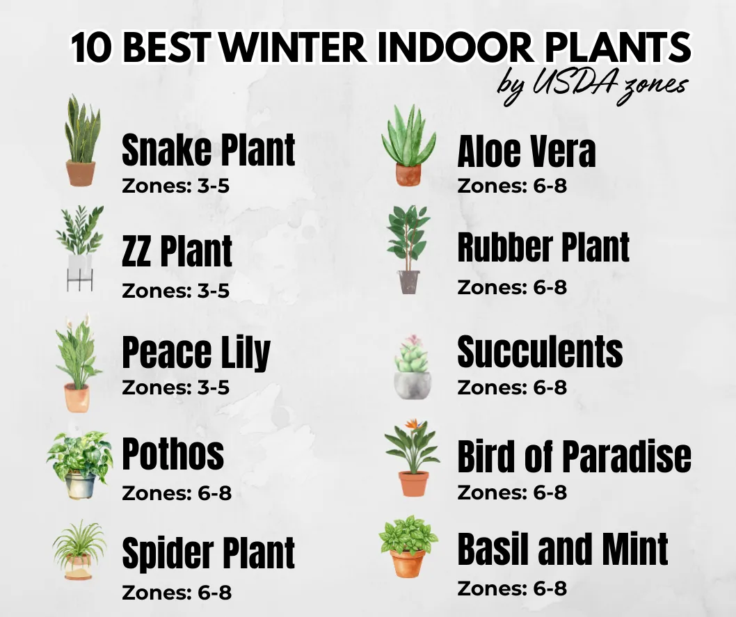 Winter Indoor Plants
